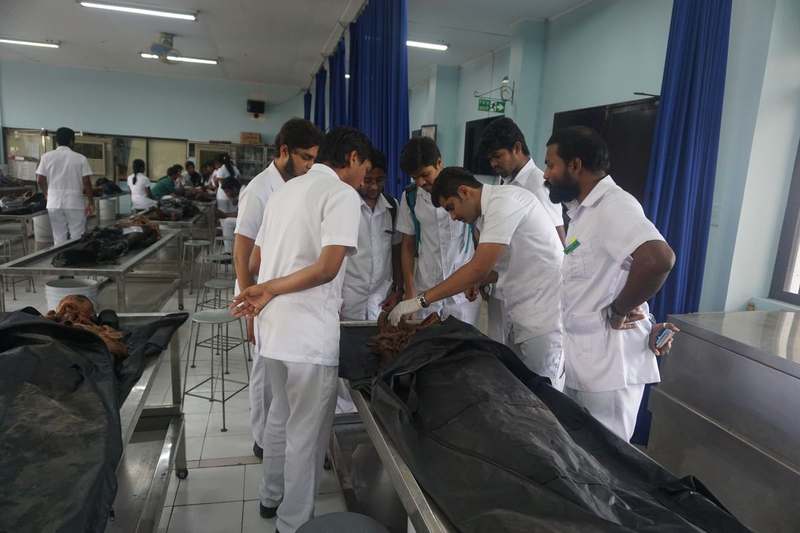 DMSF Students in Clinical Training