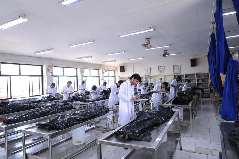 Anatomy Lab - Clinical Training